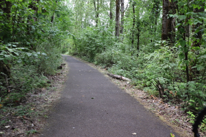 Typical paved surface of the Interlakes Trail